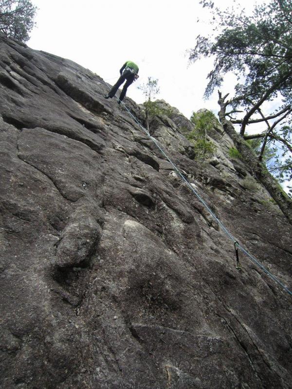 　するする登ります